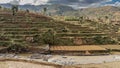 Terraces of rice fields run down the hillside to the river. Royalty Free Stock Photo