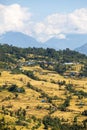 Terraces of rice or paddy fields in Nepal Himalayas Royalty Free Stock Photo