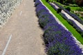 Terraces with stairs in a sloping park. stone retaining walls with light stone. blue lavender and pink roses with perennials grow Royalty Free Stock Photo