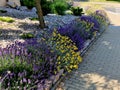 terraces with stairs in a sloping park. stone retaining walls Royalty Free Stock Photo