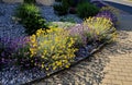 terraces with stairs in a sloping park. stone retaining walls Royalty Free Stock Photo