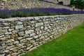 Terraces with stairs in a sloping park. stone retaining walls with light stone. blue lavender and pink roses with perennials grow Royalty Free Stock Photo