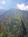 Terracing in mountainous area