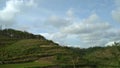 Terracing Paddy Field