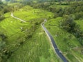 Terracing paddy field terasering