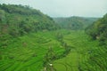 The terracing technique is rice fields on sloping land which are made in layers and usually exist in the Indonesian highlands.