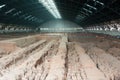 Terracotta army hangar Royalty Free Stock Photo