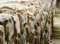 Terracotta Army Soldiers in Pit 1 Royalty Free Stock Photo