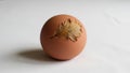 Terracotta colored object resembling a smooth orb is placed against a Royalty Free Stock Photo