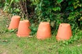 Terracotta Flower pots in Garden Front or back yard. Mud Clay Ceramic Pottery Planter Flower Pots with Drainage Hole. Ornamental