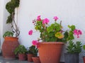 Terracotta Flower Pots Outside White Greek Island House Royalty Free Stock Photo