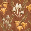 Terracotta forest background with chanterelles, toadstools, mushrooms, herbs and leaves. Royalty Free Stock Photo