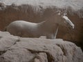 Terracotta horses in the tomb of the terracotta army at Shaanxi, Xian, China, Asia Royalty Free Stock Photo