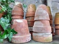 Terracotta plant pots