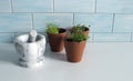 Terracotta pots with a a grey marble mortar on white table and ceramic blue wall.