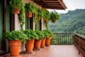 terracotta pots on ivy-hung balcony of spanish villa Royalty Free Stock Photo