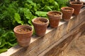 Terracotta pots with soil Royalty Free Stock Photo