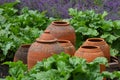 Terracotta Pots, Tintinhull Garden, Somerset, England, UK Royalty Free Stock Photo