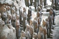 Terracotta sculptures depicting the armies of Qin Shi Huang, the first Emperor of China Royalty Free Stock Photo