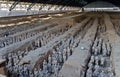 Terracotta Warrior Army of Emperor Qin Shi Huang Di