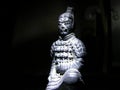 The Terracotta Warriors Royalty Free Stock Photo