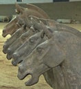 Terracotta warriors: horse heads.