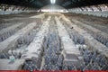 Terracotta Warriors, Xian, Shaanxi Province, China: The main hall of pit 1 of the Terracotta Army museum. Royalty Free Stock Photo