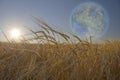 Terraformed Luna seen from field