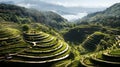 Terraformed terraces, indicative of anthropogenic adaptation Royalty Free Stock Photo