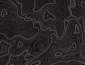 Terrain map. Topographic contouring line cartography texture. Topographical relief map. Geographic vector background Royalty Free Stock Photo