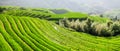 Terrance paddy rice field, Longji, Guangxi, China