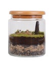 Terrarium bottle. Royalty Free Stock Photo