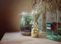 Terrarium with dried flower and small aquarium on table