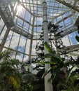 Terrarium with glass ceiling and palms