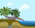 Terrarium island banner vector illustration. Crocodile walking on beach near palm trees on grass. Small child or kid