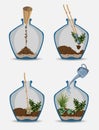 Terrarium Nature green plant in glass garden, plant on decoration natural botany vector cartoon illustration isolated on Royalty Free Stock Photo