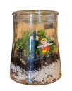 A terrarium with pink girl dolls on white background. Royalty Free Stock Photo