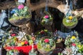 Terrariums inside clear glass jars.