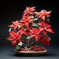 Detailed Poinsettia Bonsai: Pottery Art Inspired By Maquette And Adam Elsheimer