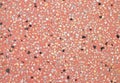 terrazzo floor