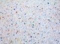 Terrazzo floor. small stone color old texture or marble background with copy space add text Royalty Free Stock Photo