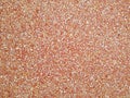 Terrazzo floor