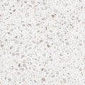 Terrazzo flooring texture. Realistic vector pattern of mosaic floor with natural stones, granite, marble, quartz, concrete.