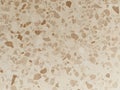 Terrazzo flooring