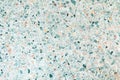 Terrazzo flooring texture and color small stone polished pattern old surface marble vintage for background image horizontal Royalty Free Stock Photo