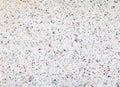 Terrazzo flooring texture polished stone pattern wall and color old surface marble for background image horizontal Royalty Free Stock Photo