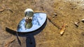 Terrestrial globe placed on an eye-shaped mirror, itself placed on the ground, in a puddle