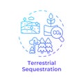 Terrestrial sequestration blue gradient concept icon Royalty Free Stock Photo