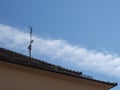 Terrestrial tv antenna