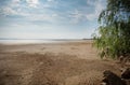 Terrible Disaster Ecocide landscape of dried up Kakhovka Reservoir in Zaporizhzhia region as a result of Kakhovka Dam damaging on